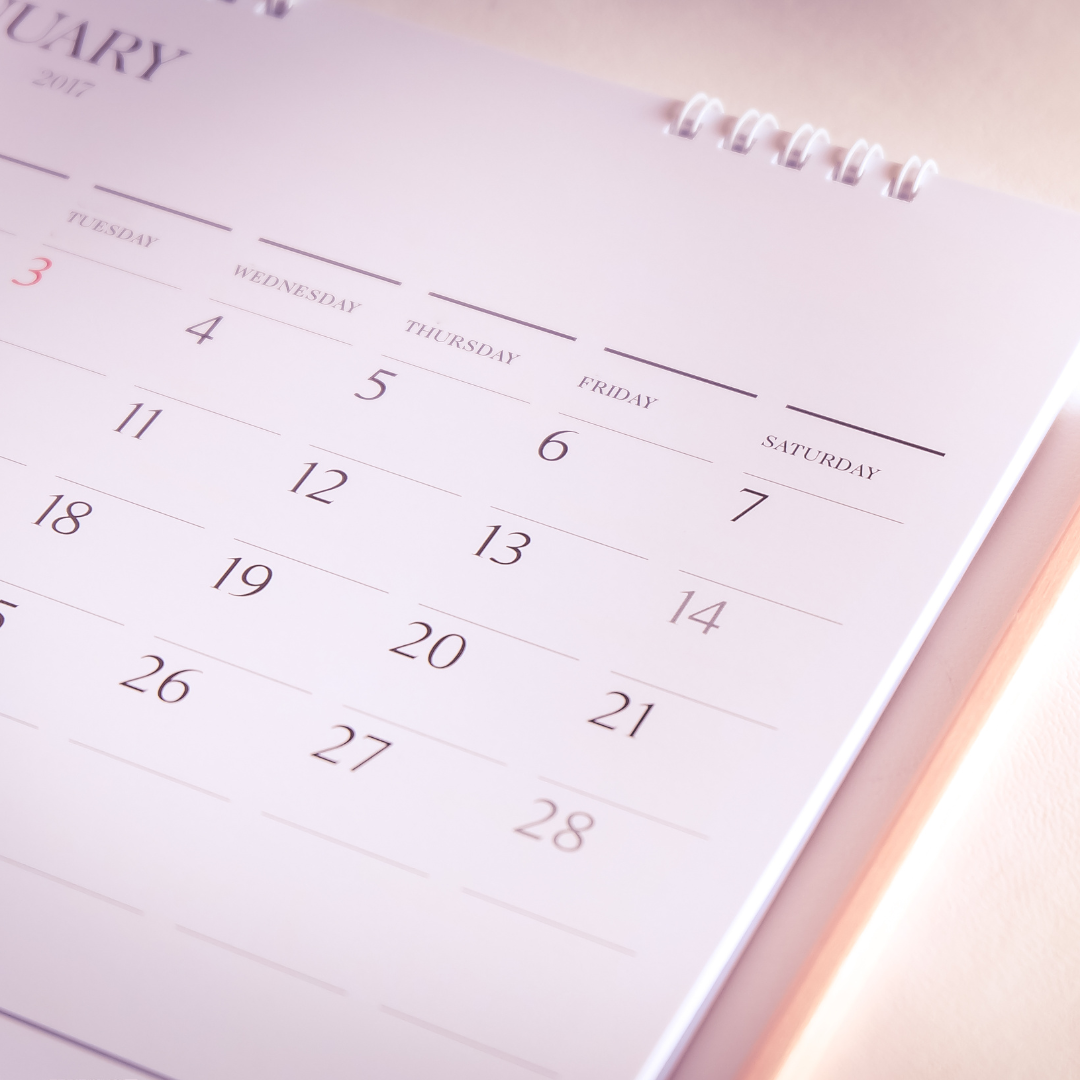 Situații financiare / raportări